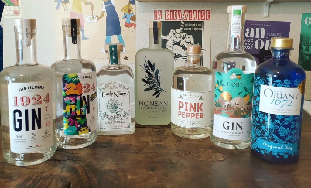 Gin bio cocktails tonics cave à vins Nantes centre quartier Toutes joies Bastille Procé Monselet Guist'Hau